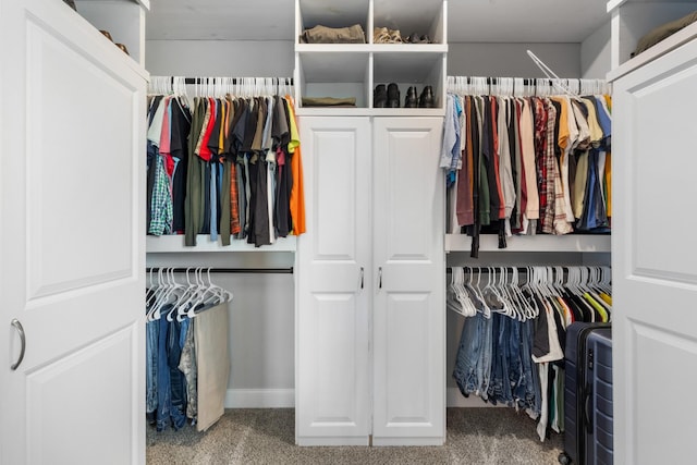 view of closet