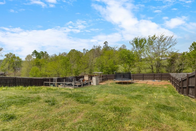 view of yard with a fenced backyard and a trampoline