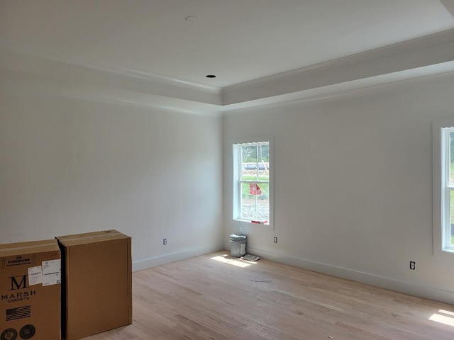 4811 Kintore, Nolensville, TN 37135 - spare room with light wood-type flooring and a raised ceiling
