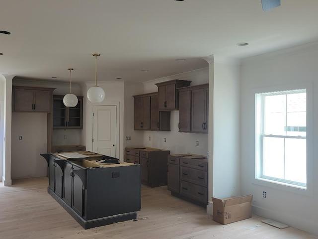 4811 Kintore, Nolensville, TN 37135 - kitchen featuring a center island, ornamental molding, light wood-style floors, hanging light fixtures, and dark brown cabinetry