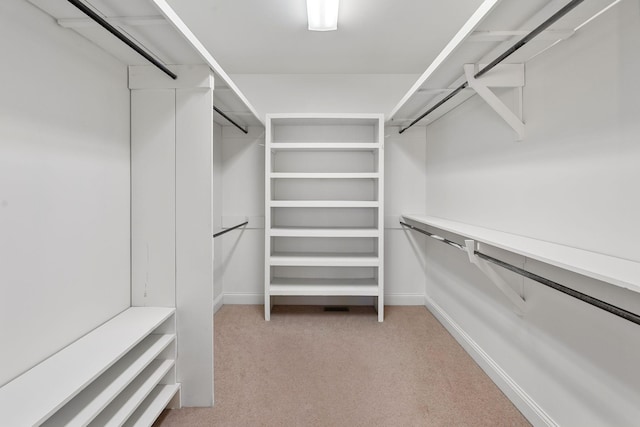 101 Christina Ct, Goodlettsville, TN 37072 - walk in closet with light colored carpet