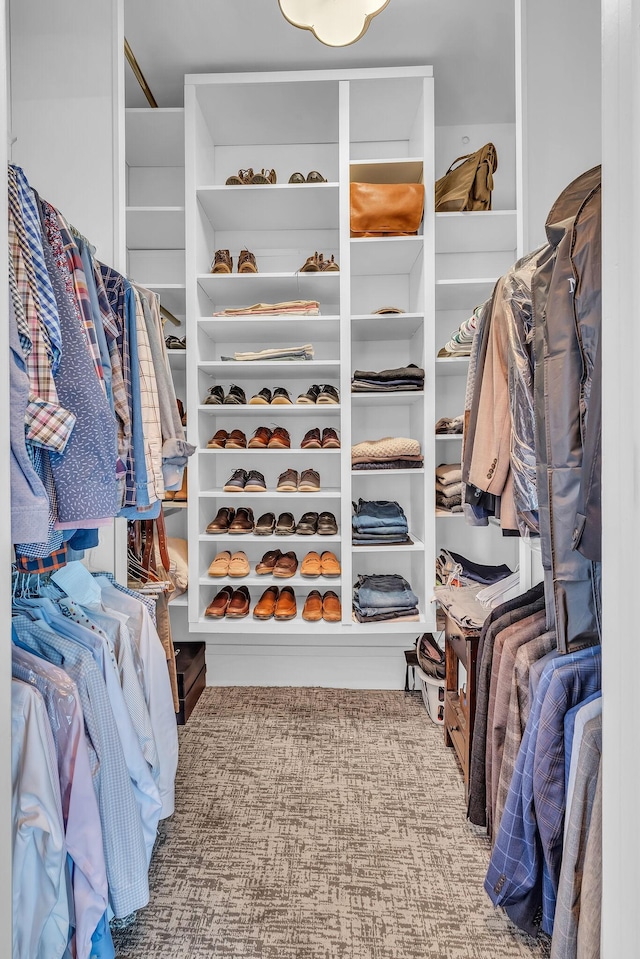 view of walk in closet