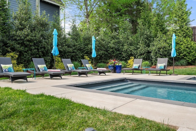 pool with a patio area