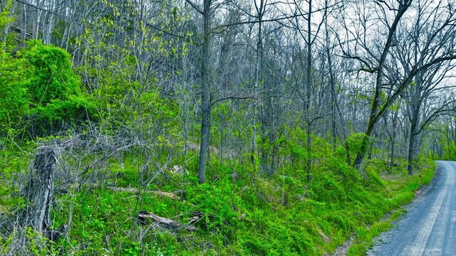 0 Westfork Creek Rd, Westmoreland, TN 37186 - photo 18