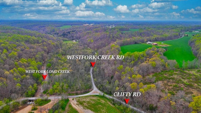 0 Westfork Creek Rd, Westmoreland, TN 37186 - photo 4