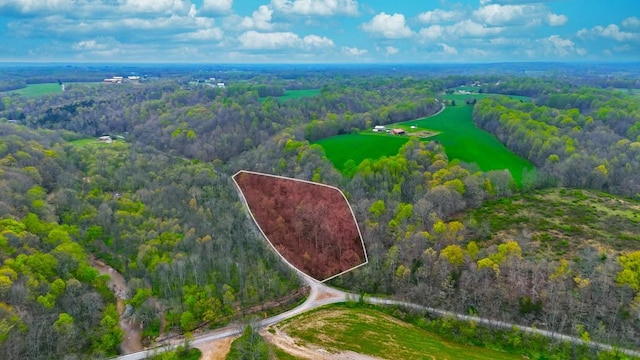 0 Westfork Creek Rd, Westmoreland, TN 37186 - photo 3