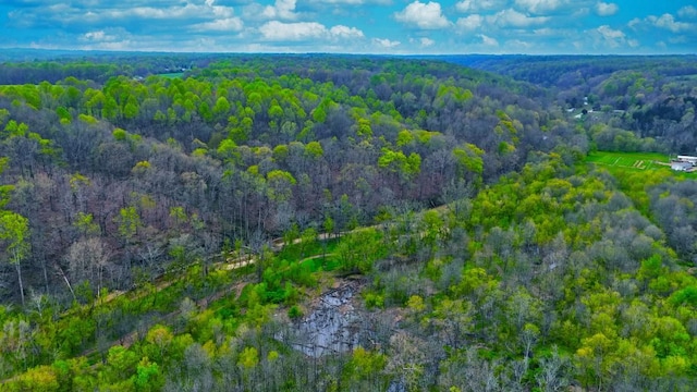0 Westfork Creek Rd, Westmoreland, TN 37186 - photo 14