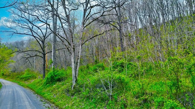 0 Westfork Creek Rd, Westmoreland, TN 37186 - photo 17