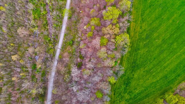 0 Westfork Creek Rd, Westmoreland, TN 37186 - photo 9