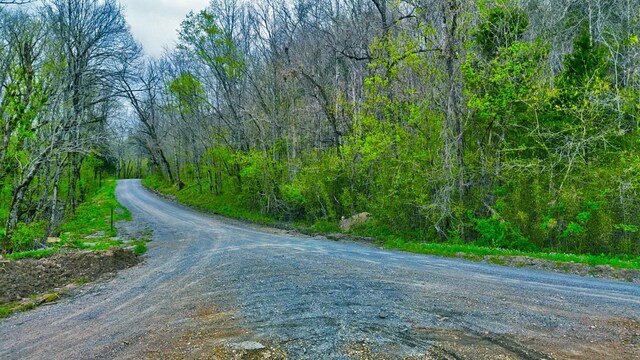 0 Westfork Creek Rd, Westmoreland, TN 37186 - photo 16