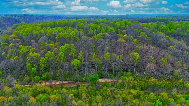 0 Westfork Creek Rd, Westmoreland, TN 37186 - photo 13