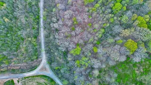 0 Westfork Creek Rd, Westmoreland, TN 37186 - photo 10
