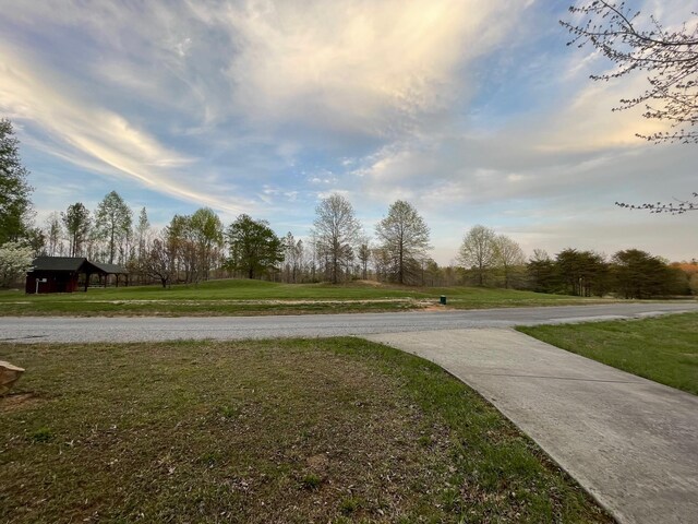 1041 High Meadow Dr, Spencer, TN 38585 - view of road