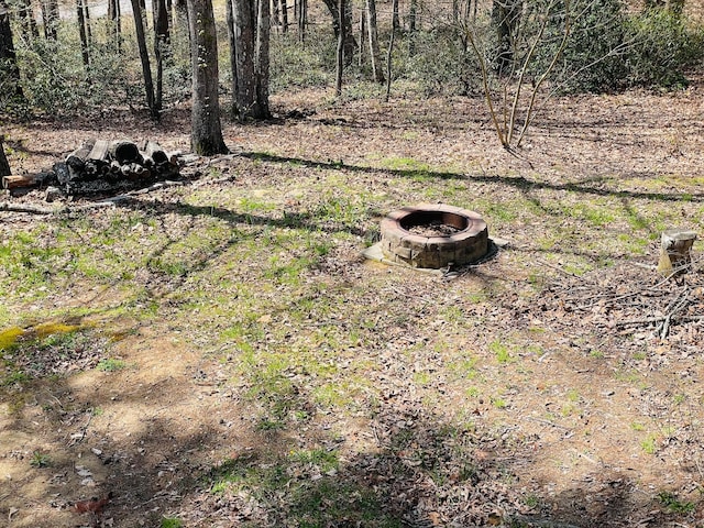 1041 High Meadow Dr, Spencer, TN 38585 - view of yard with a fire pit