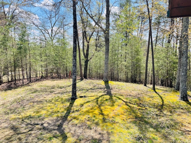 1041 High Meadow Dr, Spencer, TN 38585 - view of yard featuring a view of trees