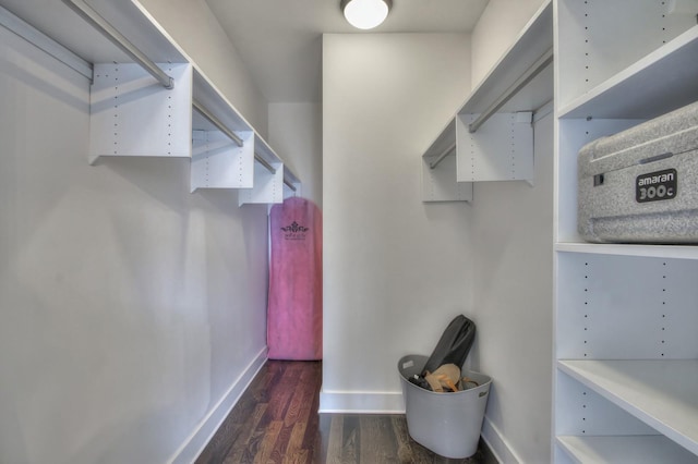 walk in closet featuring wood finished floors
