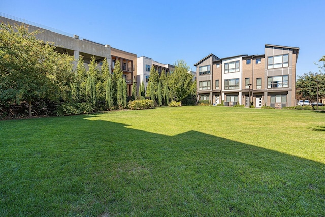 view of green lawn