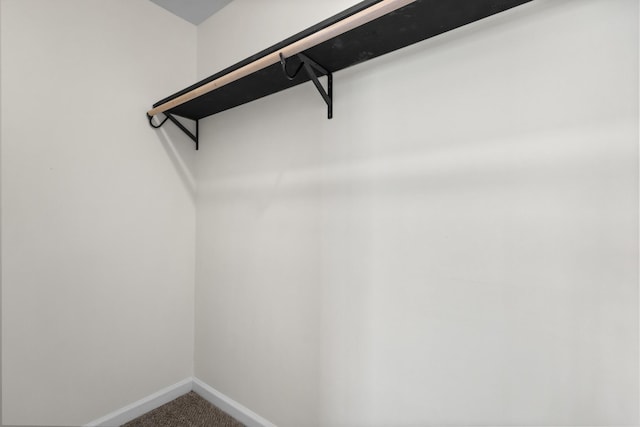 438 Pacific Ave, Oak Grove, KY 42262 - spacious closet featuring carpet floors