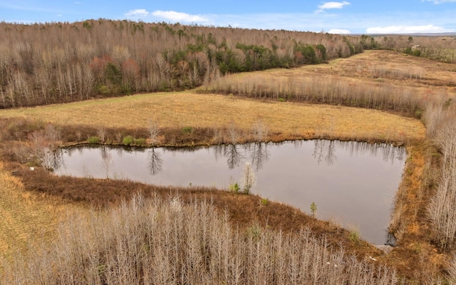 property view of water featuring a view of trees