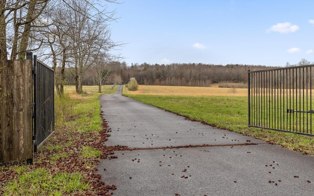 view of street featuring a rural view and a gated entry