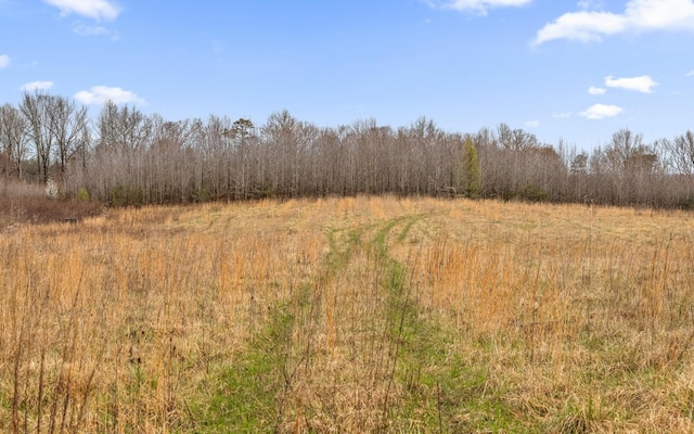 view of landscape with a wooded view