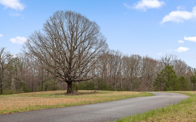view of road featuring a forest view