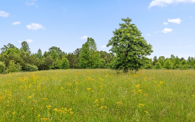10600 Skyridge Trl, Soddy Daisy, TN 37379 - view of woods