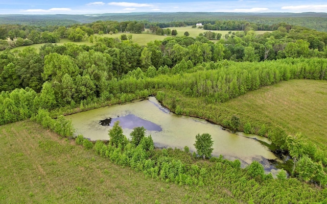 10600 Skyridge Trl, Soddy Daisy, TN 37379 - drone / aerial view of a forest