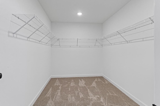 8524 Turnbull Dr, Pleasant View, TN 37146 - spacious closet with carpet flooring