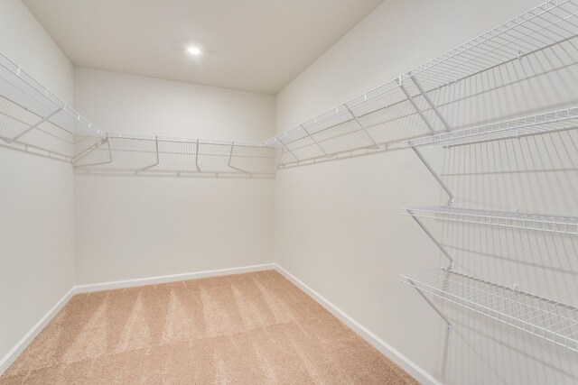 8583 Turnbull Dr, Pleasant View, TN 37146 - spacious closet with carpet