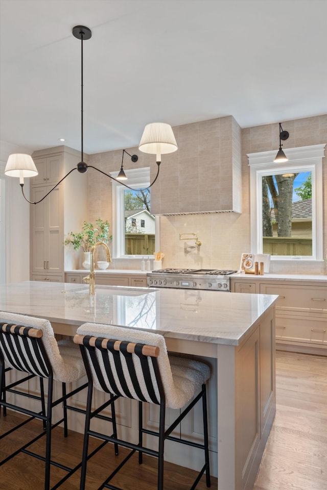 2109 10th Ave S, Nashville, TN 37204 - kitchen featuring a wealth of natural light, light wood finished floors, stove, and light stone counters