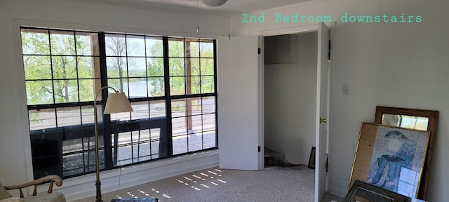 1124 Woodlawn Shores Rd, Sugar Tree, TN 38380 - unfurnished bedroom with carpet flooring