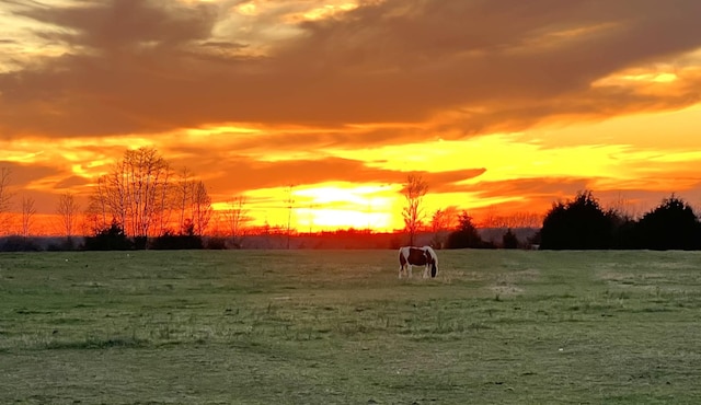 134 Joe Blanton Rd, Woodbury, TN 37190 - nature at dusk with a rural view