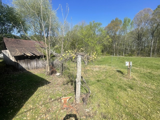 312 Neal St, Huntland, TN 37345 - view of yard