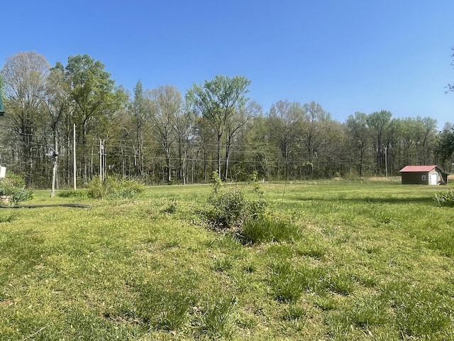 312 Neal St, Huntland, TN 37345 - view of yard with a view of trees