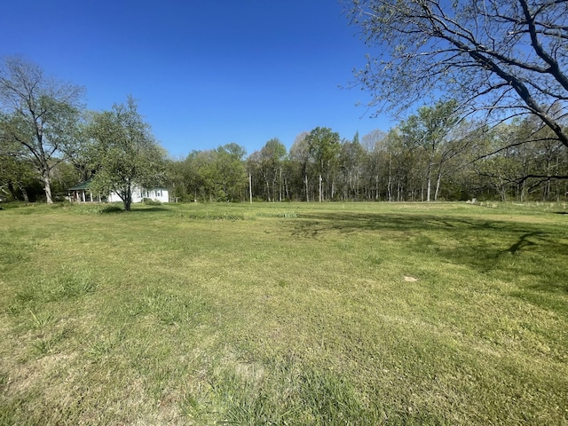 312 Neal St, Huntland, TN 37345 - view of yard