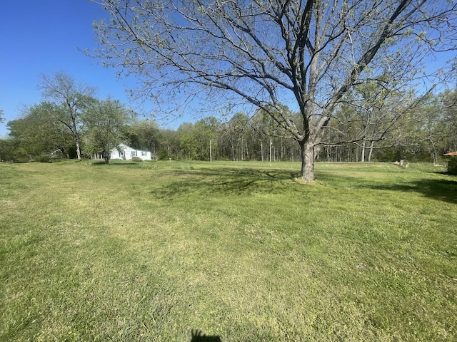 312 Neal St, Huntland, TN 37345 - view of yard
