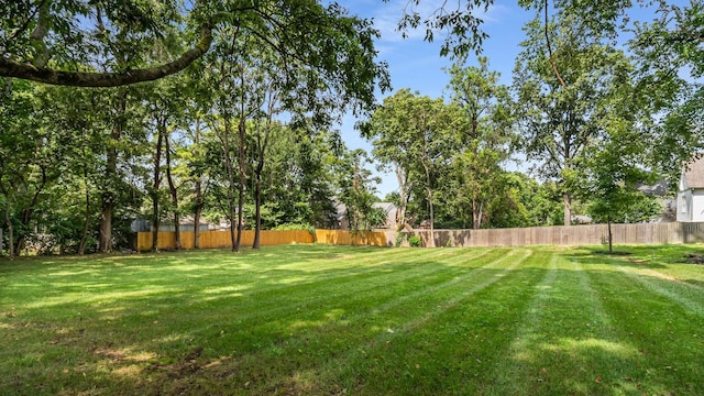 931 Caldwell Ln, Nashville, TN 37204 - view of yard with fence