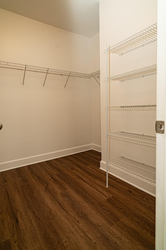 8047 Bienville Dr Unit X6, Nashville, TN 37211 - spacious closet with dark wood-type flooring