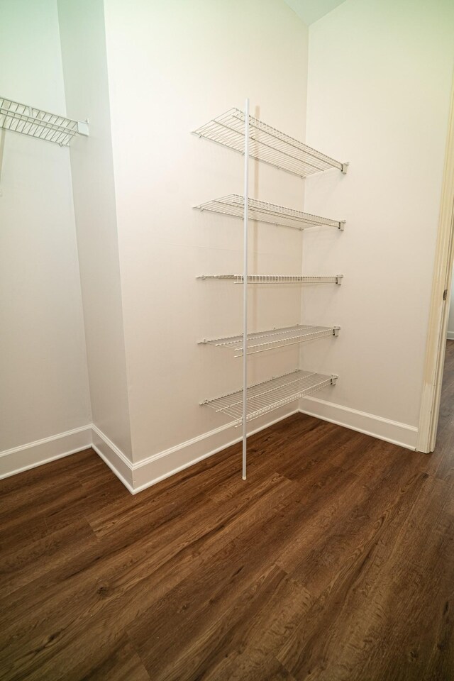 8047 Bienville Dr Unit X6, Nashville, TN 37211 - walk in closet with dark wood-style floors