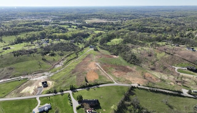 1696 Blackburn Ln, Spring Hill, TN 37174