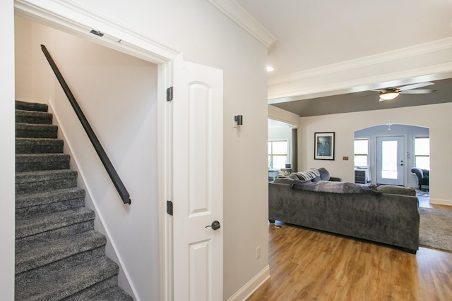 4512 General Forest Cir, Bon Aqua, TN 37025 - stairway featuring arched walkways, a ceiling fan, ornamental molding, wood finished floors, and baseboards