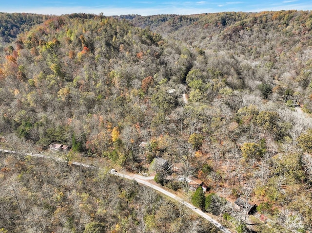 292 Halls Hollow Rd, Smithville, TN 37166 - photo 36