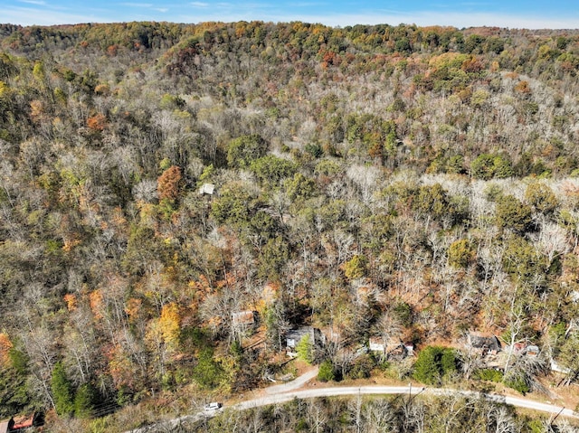 292 Halls Hollow Rd, Smithville, TN 37166 - photo 34