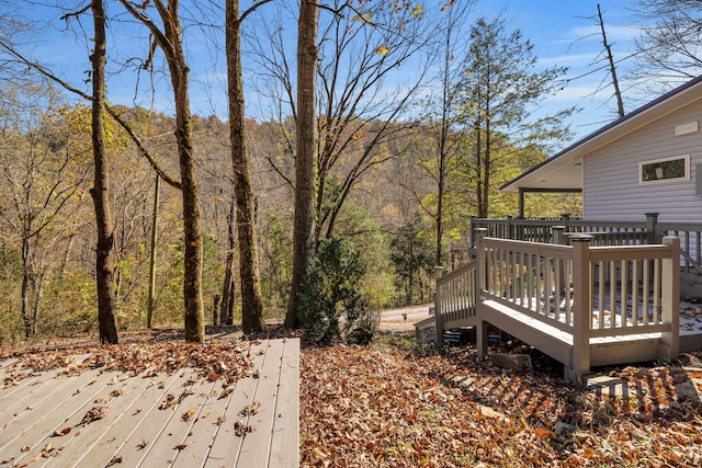 292 Halls Hollow Rd, Smithville, TN 37166 - photo 32