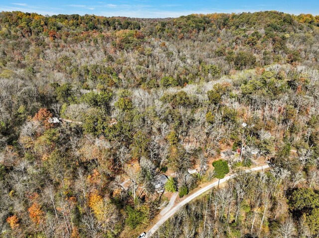 292 Halls Hollow Rd, Smithville, TN 37166 - photo 35