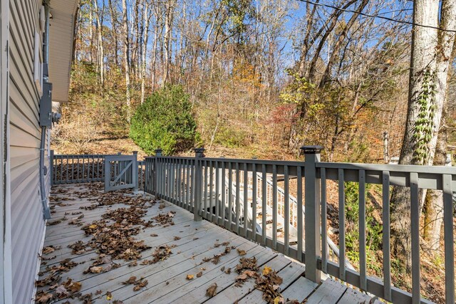 292 Halls Hollow Rd, Smithville, TN 37166 - photo 29