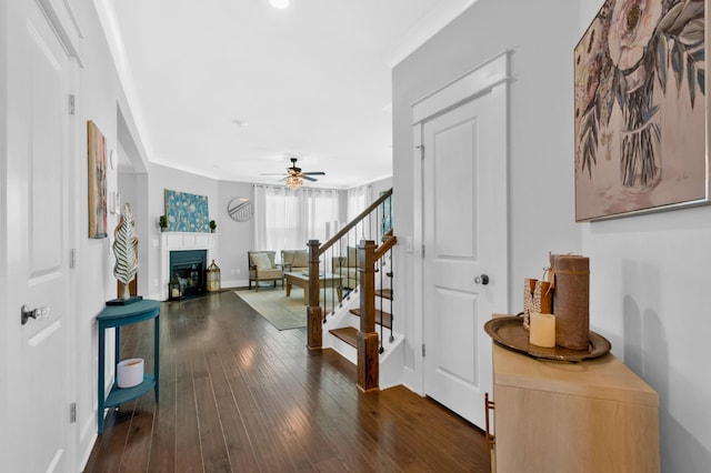 779 Newcomb St, Franklin, TN 37064 - hallway featuring dark wood-style flooring, stairway, crown molding, and baseboards