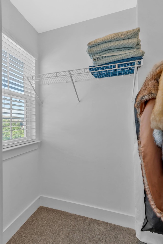 779 Newcomb St, Franklin, TN 37064 - walk in closet featuring carpet