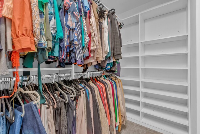 779 Newcomb St, Franklin, TN 37064 - walk in closet featuring carpet